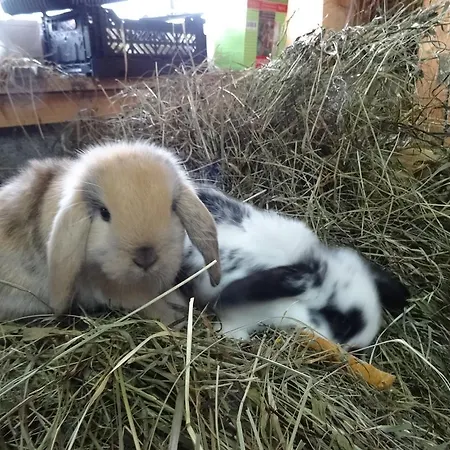 Badhaus * Achenkirch