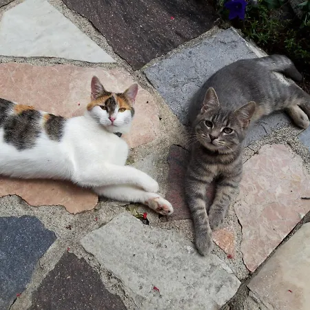 Badhaus * Achenkirch