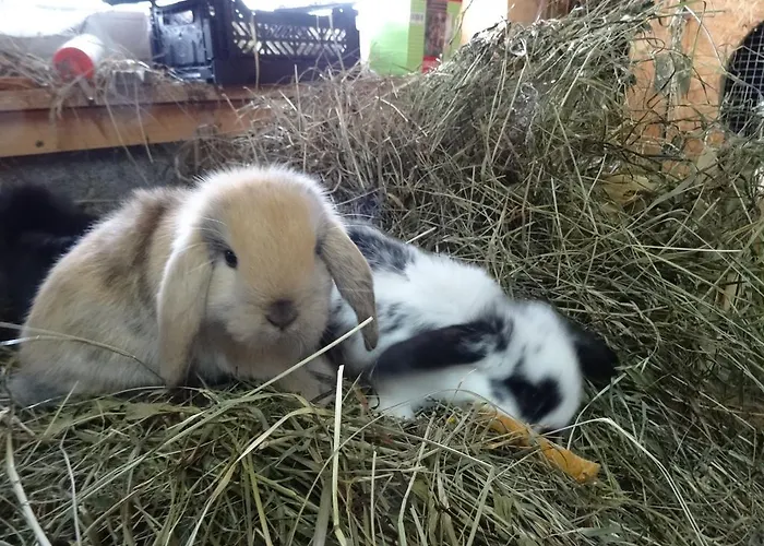 Badhaus * Achenkirch