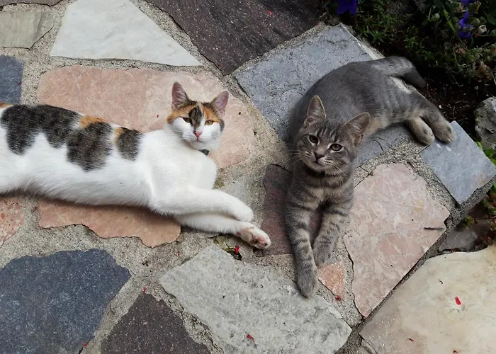 Badhaus * Achenkirch